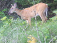 100_2818.jpg